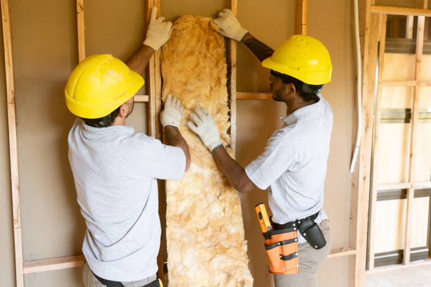 Best Eco-Friendly Insulation Solutions  in St Michael, MN